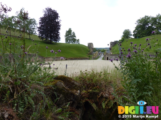 FZ018019 Flowers in Amphitheater in Trier